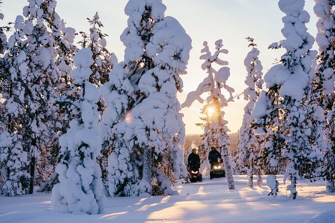 1-Hour Snowmobile Safari Experience - Why This 1-Hour Lapland Snowmobile Safari Fits First-Timers