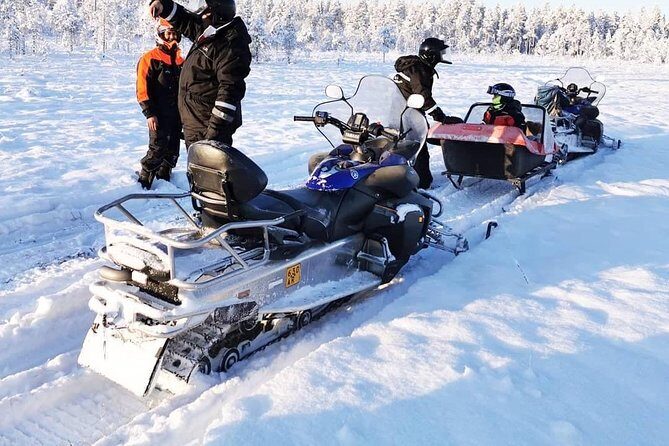 1-Hour Snowmobile Safari Experience - License Checks and Safety Briefing: The Part That Keeps It Fun