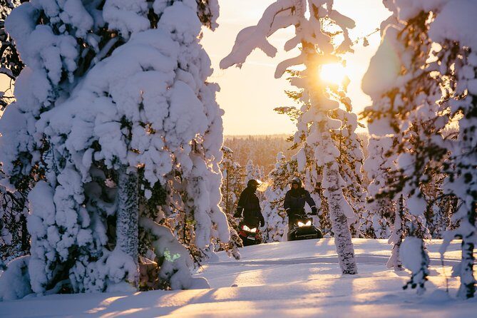 1-Hour Snowmobile Safari Experience - Where You Meet and How the Timing Actually Feels