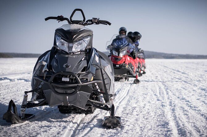2 Hours Snowmobile Safari to the Levi Nature - Photo stops that actually help your pictures