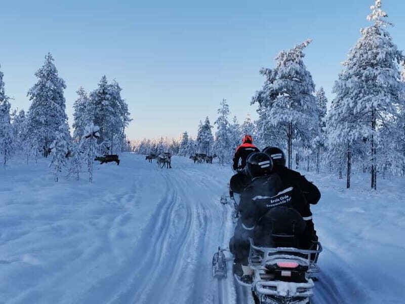3-hour snowmobiling adventure in Levi - What Your 3 Hours in Levi Actually Feels Like