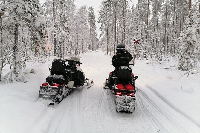 3H Private Snowmobile Experience in Rovaniemi's Forest - Booking Timing: Plan Ahead for Rovaniemi Winter