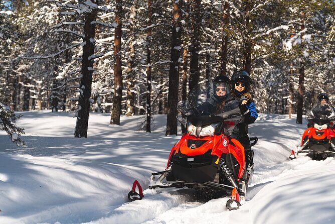 Arctic Circle Snowmobile Safari for Beginners in Rovaniemi - If you don’t have a license: sleigh option for your group