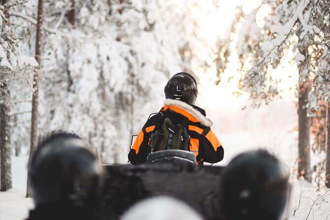 Arctic Circle Snowmobile Safari for Beginners in Rovaniemi - Weather and timing: why December can feel darker