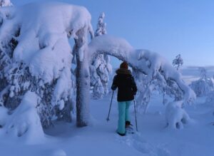 Arctic Reindeer Farm Experience with Snowshoeing in the Wild - Getting to the wilderness lake near Levi (and why the drive is part of it)