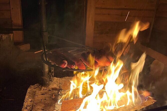 Arctic Reindeer Farm Experience with Snowshoeing in the Wild - Traditional farm time with reindeer, lichen, and real seasonal know-how