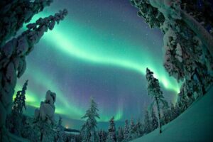 Aurora Borealis Picnic in Rovaniemi - Safartica Stop: Your Main Outdoor Block for the Northern Lights