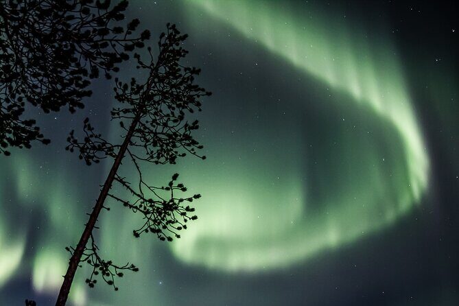 Aurora Borealis Picnic in Rovaniemi - The Lappish Picnic Part: Hot Drinks and Fire-Warmed Comfort