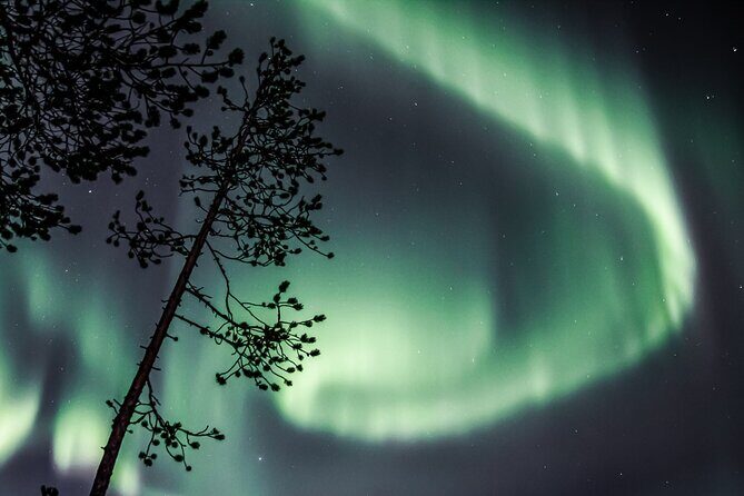 Aurora Hunting Photo Tour from Rovaniemi with Pickup - Stop 1 at Safartica: your first viewing window