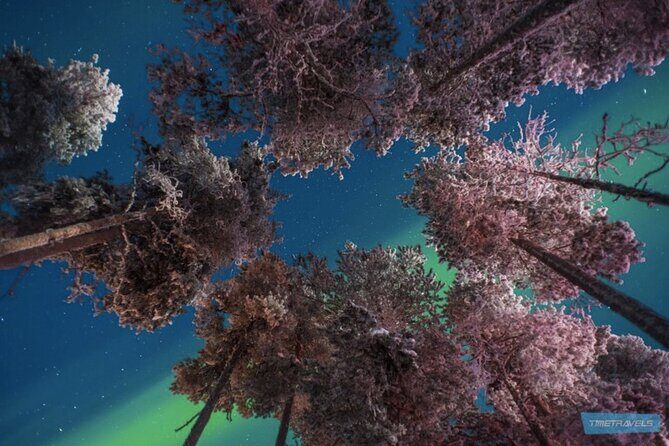 Aurora Photography Tour 3 HOURS - Cold-weather comfort: hot drinks, short stays, and planning for -26°C