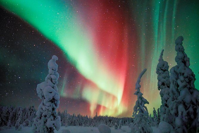 Auroras in Saariselkä – Northern Lights Photo Tour by Car and on Foot - Price and value: what you’re really paying for at $157.71