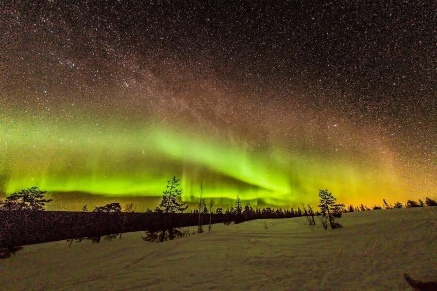 Auroras Northern Lights in Saariselka - Price and Value: What $175 Buys You