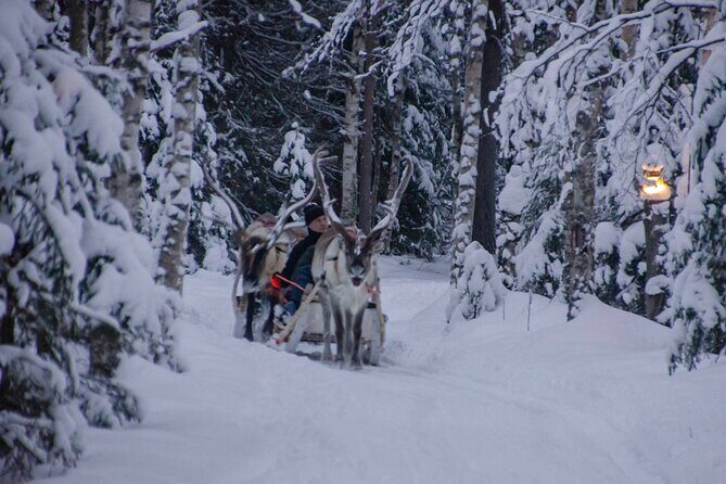 Authentic Reindeer Farm Experience in Rovaniemi - Price and value for a 2-hour, farm-first experience