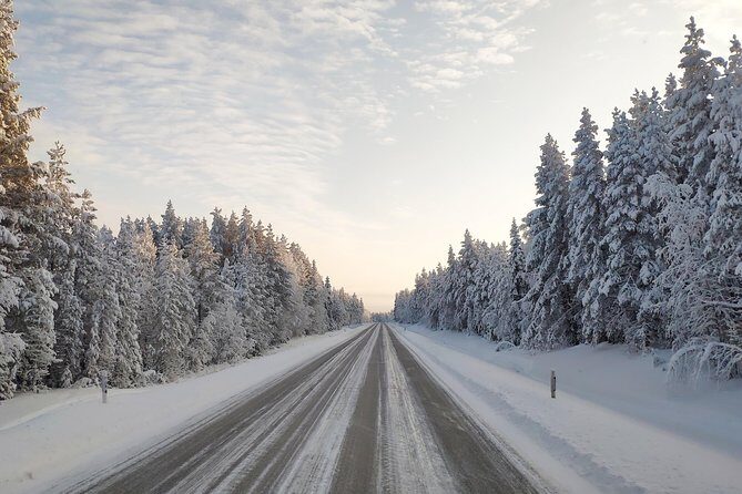 Best Of Lapland: Sauna, Ice swimming, Dinner & Northern Lights - Who This Tour Fits Best (and Who Might Skip It)
