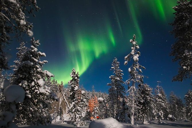 Evening Escape - Snowmobile safari and campfire in Rovaniemi - Price and value: where the $183ish goes