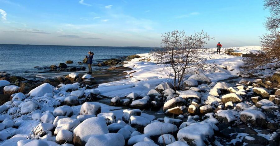 From Helsinki: Archipelago Excursion in Porkkalaniemi - Photo stops and wildlife chances: where the coast gives you “takes your breath” frames