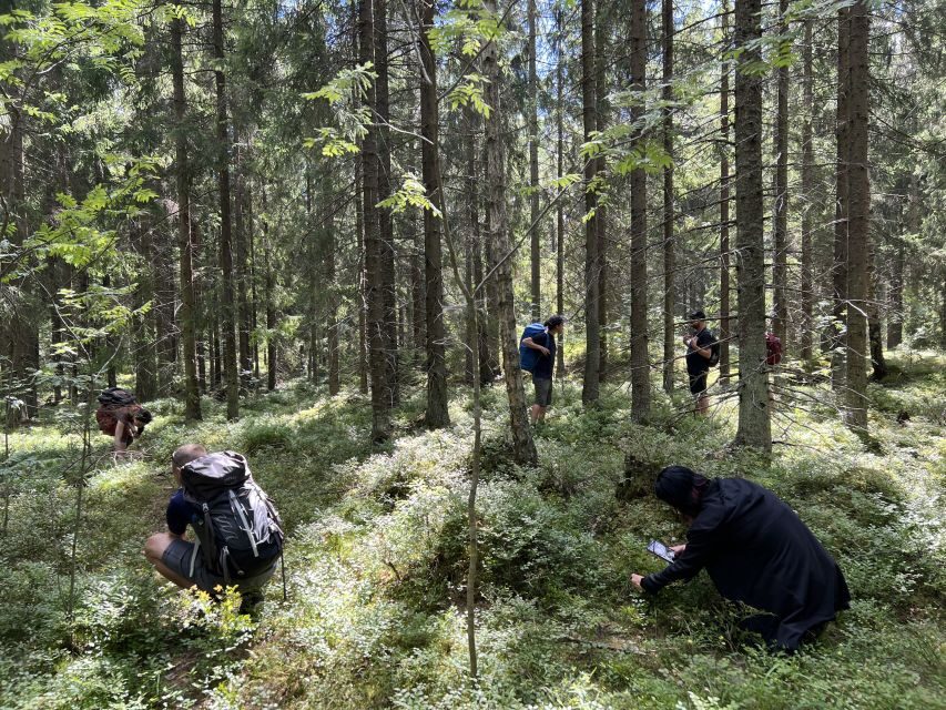 From Helsinki: Hike and Sauna in Sipoonkorpi National Park - From Helsinki to the forest: why this day feels easier than it sounds