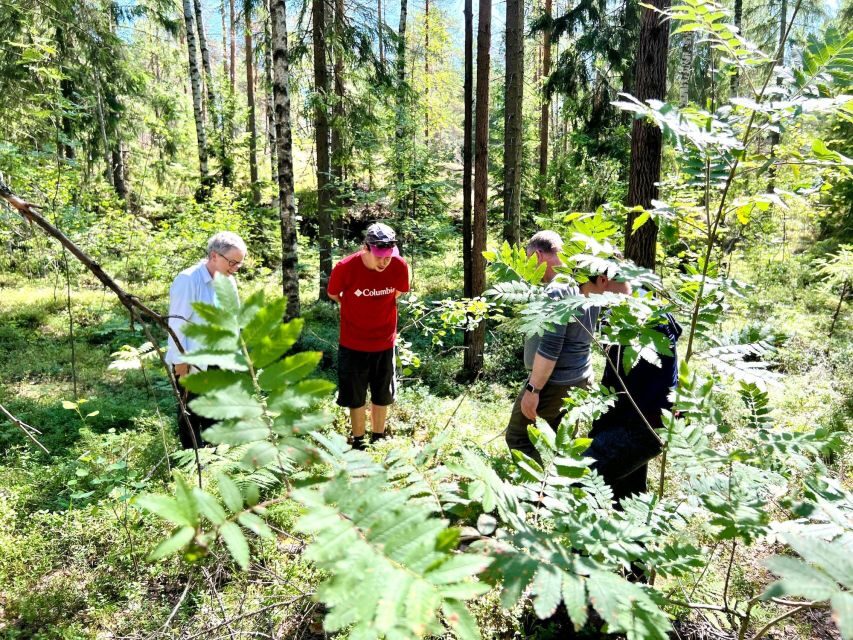 From Helsinki: Hike and Sauna in Sipoonkorpi National Park - Kuusijärvi Lake stop: the part that turns walking into a breather