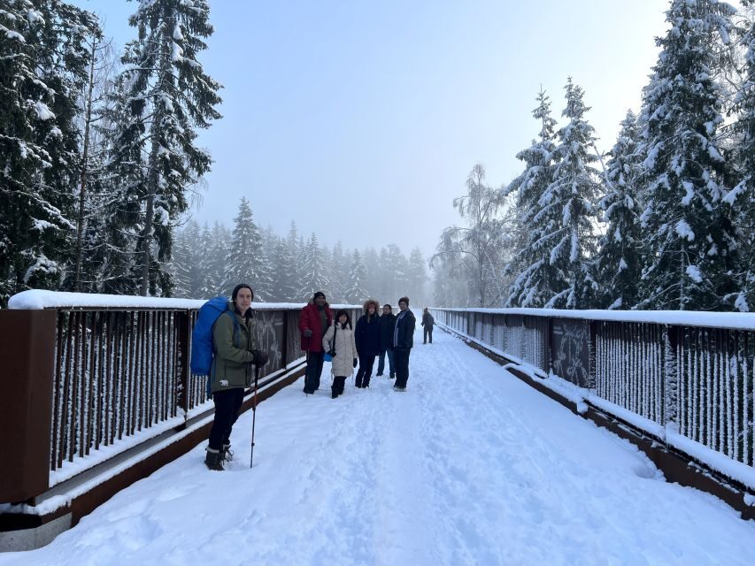 From Helsinki: Hike and Sauna in Sipoonkorpi National Park - Price and value: is $194 actually a fair deal?