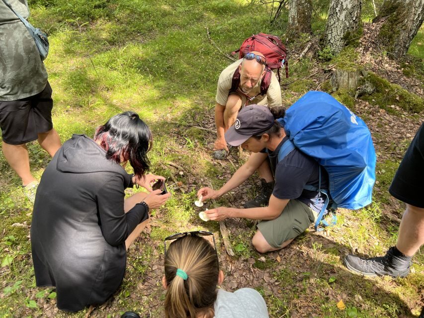 From Helsinki: Hike and Sauna in Sipoonkorpi National Park - Who this tour is best for (and who should skip it)