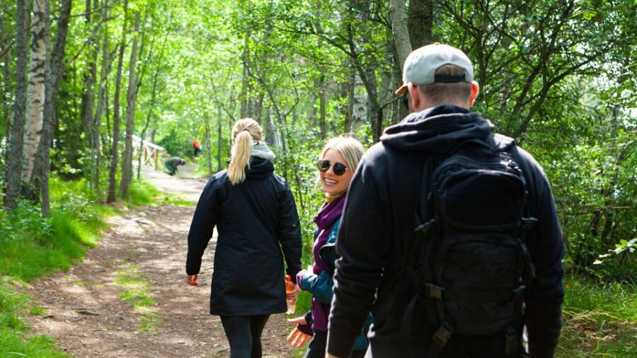 From Helsinki: Magical Taiga Hike in Liesjärvi National Park - Key highlights at a glance