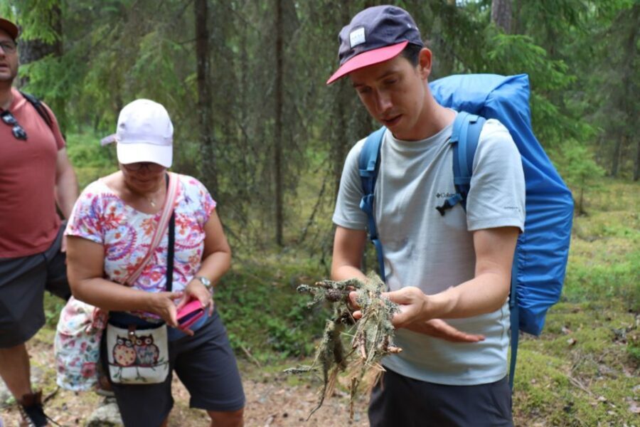 From Helsinki: Magical Taiga Hike in Liesjärvi National Park - Guides and Group Feel: What Makes It Work