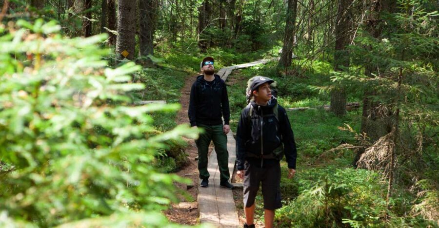 From Helsinki: Magical Taiga Hike in Liesjärvi National Park - Price and Value: Paying for a Pro-Run Nature Day