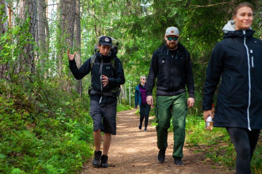 From Helsinki: Magical Taiga Hike in Liesjärvi National Park - Who This Tour Suits Best (and Who Should Skip It)