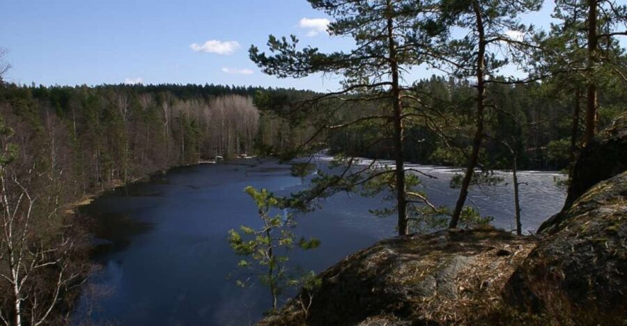 From Helsinki: Nuuksio National Park Half-Day Trip - Inside Nuuksio: conifer forest, primeval rocks, and lake views