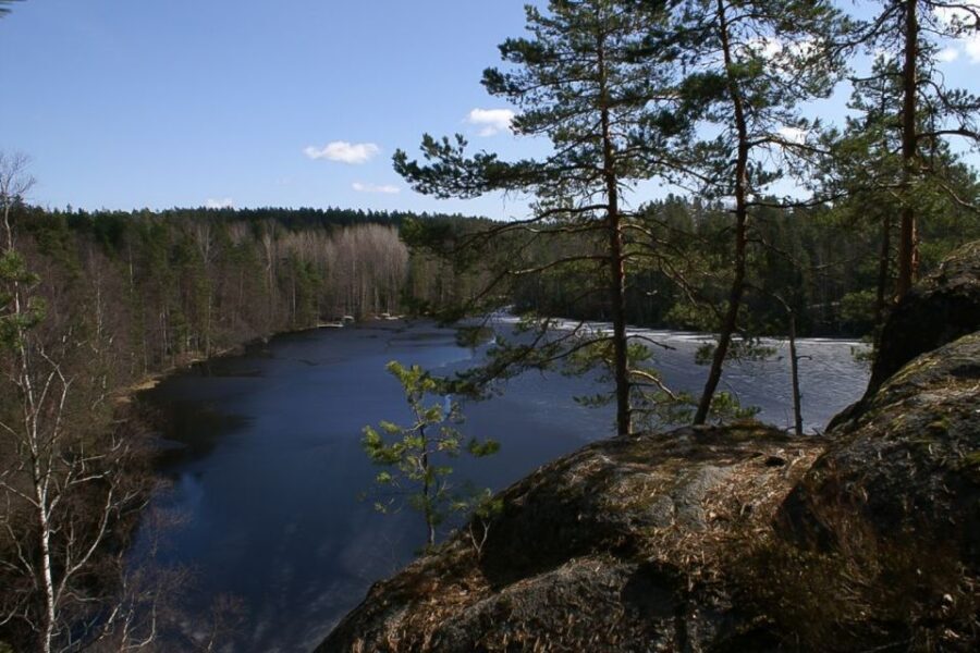 From Helsinki: Nuuksio National Park Half-Day Trip - Meeting at Railway Square and the public-transport route that keeps it simple