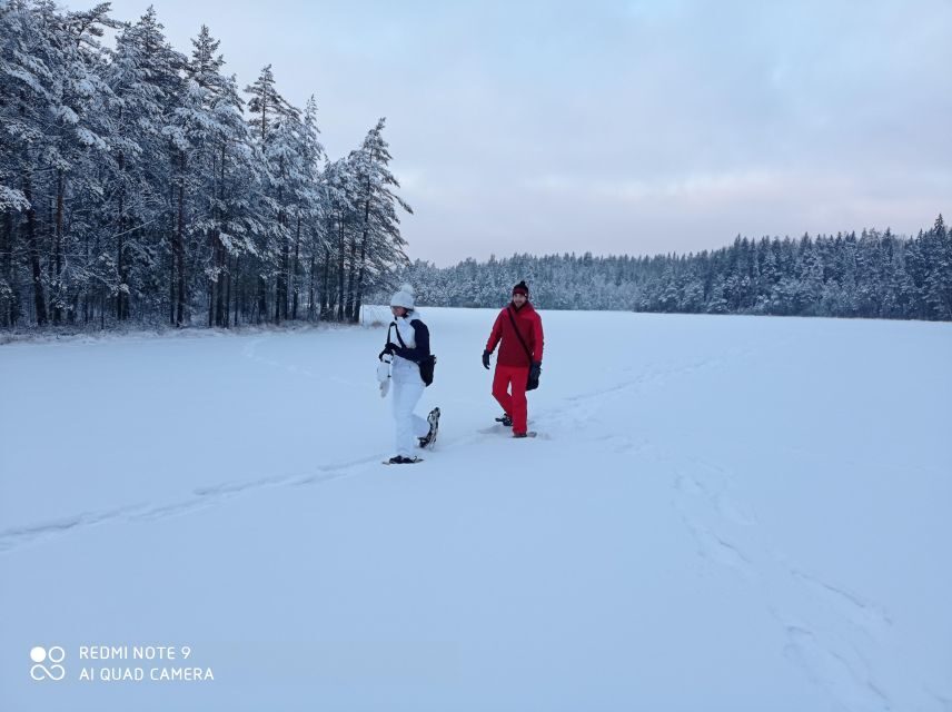 From Helsinki: Nuuksio National Park Hiking Tour with Food - Winter vs summer: snowshoes, frozen lakes, and lake swims