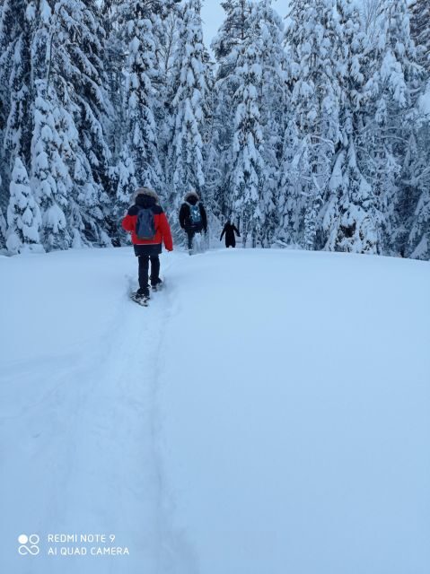 From Helsinki: Nuuksio National Park Hiking Tour with Food - Price and value: is $110 worth it?