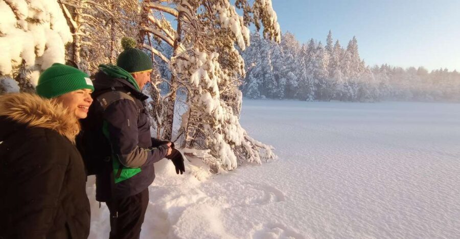 From Helsinki: Nuuksio National Park Hiking Tour with Food - Nuuksio National Park hike: what you’ll do on the trail