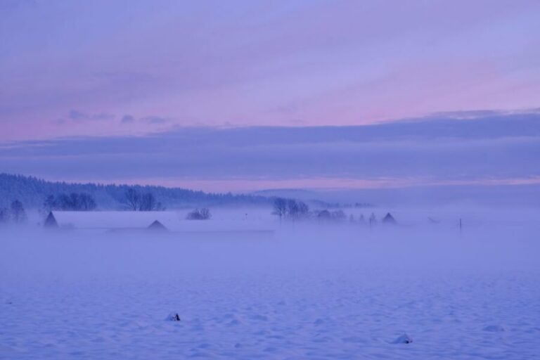 From Rovaniemi: Amethyst Mine Guided Tour - The snow train ride: warm hands, wide views, and a slower Lapland rhythm