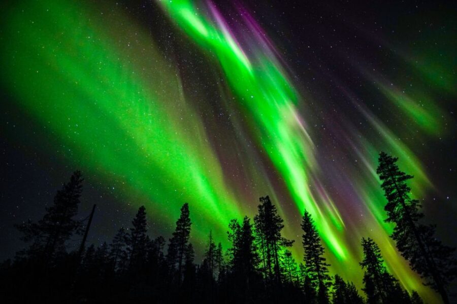 From Rovaniemi: Family-Friendly Northern Lights Tour - From Rovaniemi to the Dark: how the tour sets you up right