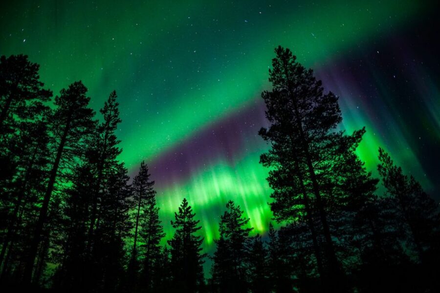 From Rovaniemi: Family-Friendly Northern Lights Tour - Winter forest time: walking, pacing, and staying comfortable