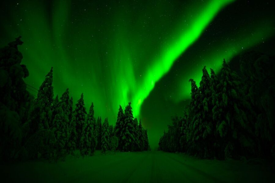 From Rovaniemi: Family-Friendly Northern Lights Tour - The teepee campfire break: the warmth-and-snack center of the night