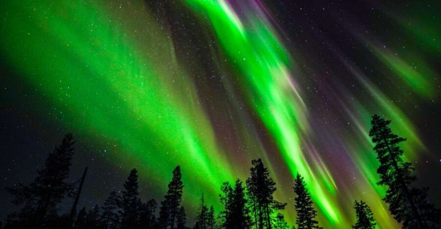 From Rovaniemi: Family-Friendly Northern Lights Tour - Sledding and snowy play around camp (often included)