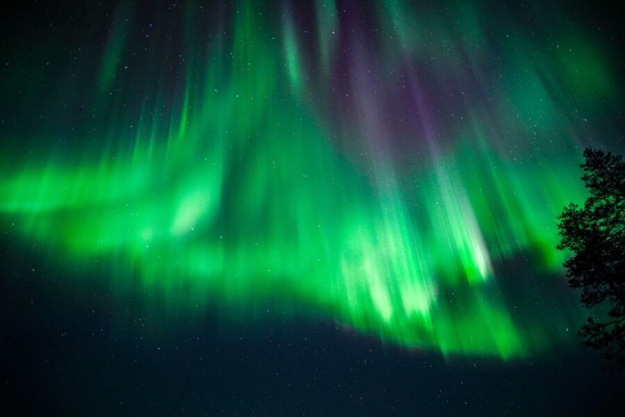 From Rovaniemi: Family-Friendly Northern Lights Tour - Price and value: what you’re really paying for at $123