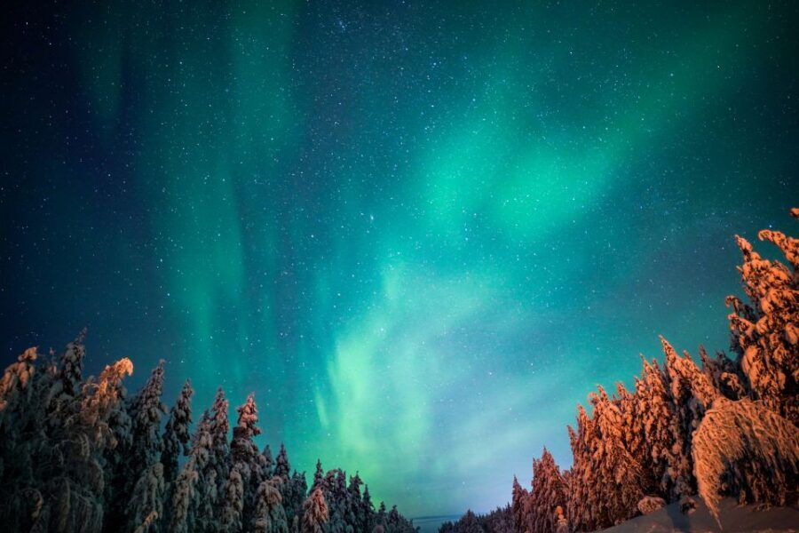 From Rovaniemi: Family-Friendly Northern Lights Tour - Private dark-sky stops and what that means for your aurora chances