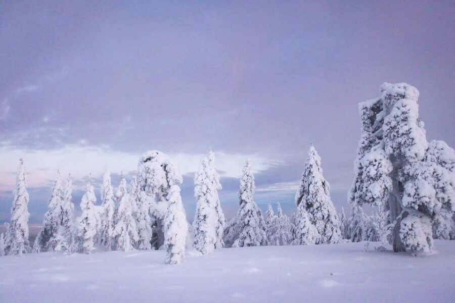 From Rovaniemi: Guided Lapland Snowmobile Adventure - Safety and driver requirements that you should not treat lightly