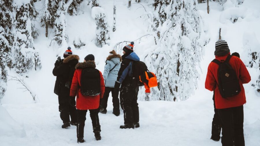 From Rovaniemi: Korouoma Canyon and Frozen Waterfalls Tour - Should You Book the Korouoma Canyon and Frozen Waterfalls Tour from Rovaniemi?