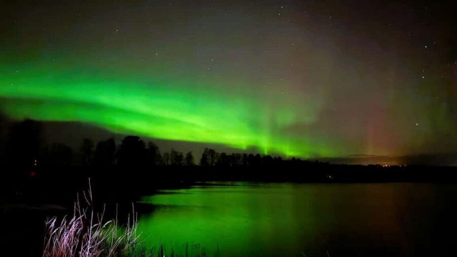 From Rovaniemi: Night Tour in Search of the Aurora with BBQ - Rovaniemi Pickup and the Reality of Staying Warm