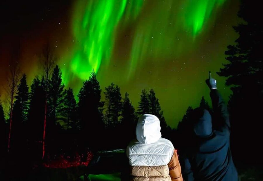 From Rovaniemi: Night Tour in Search of the Aurora with BBQ - Guide Style and English-Language Comfort