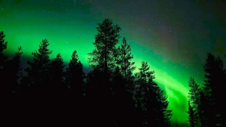 From Rovaniemi: Night Tour in Search of the Aurora with BBQ - Seeing the Aurora and Getting Photos Without Guesswork