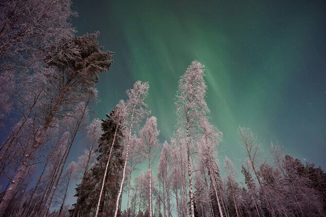 From Rovaniemi: Northern Lights Tour with Campfire Snacks - The 3-hour pace: how this Rovaniemi aurora hunt works