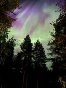 From Rovaniemi: Northern Lights Tour with Campfire Snacks - The guide’s job: spotting the aurora and getting photos
