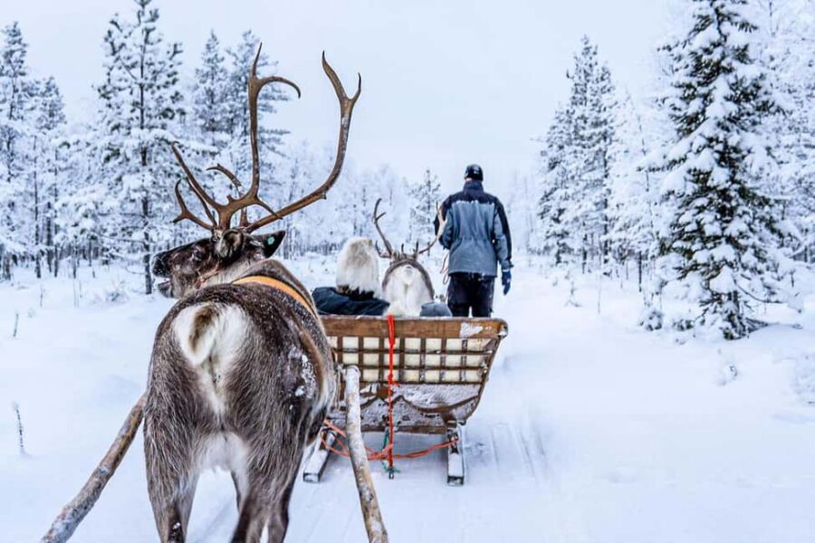 From Rovaniemi: Reindeer Farm Visit with Sleigh Ride - Price and Value: Is $129 Fair for This 2-Hour Package?