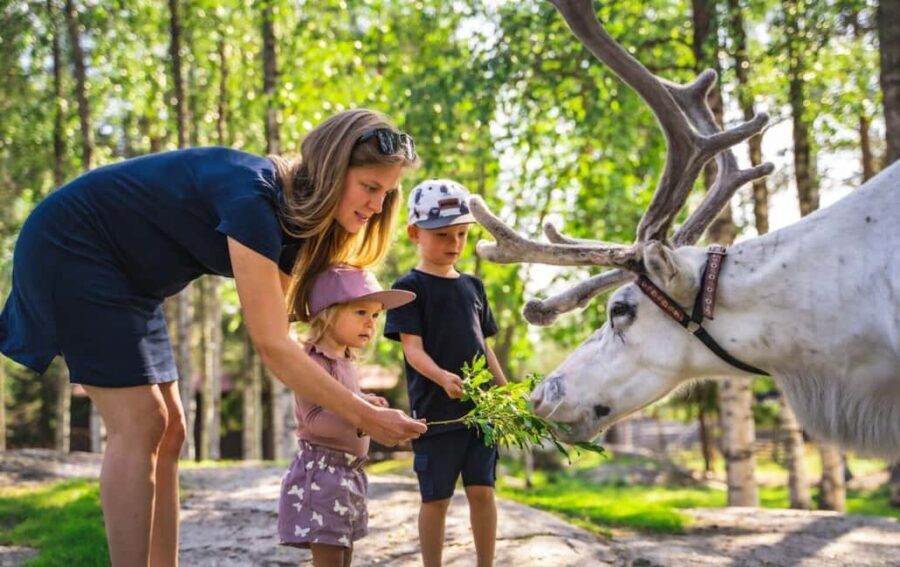 From Rovaniemi: Reindeer Farm Visit with Sleigh Ride - What to Pack: Warm Clothing Is the Real Ticket