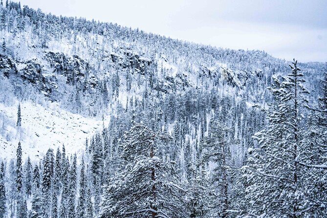 Frozen Waterfalls of Korouoma Canyon tour with Pro Photos & BBQ - The hike through Korouoma Canyon: the part that makes or breaks the day